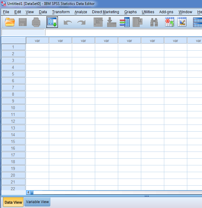 SPSS interface