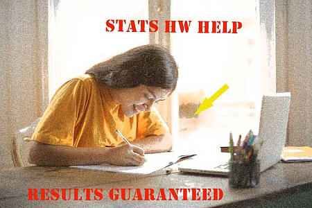 Statistics Homework Help